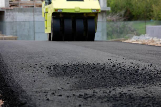 Best Driveway Pavers Near Me  in Pioche, NV