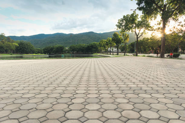 Best Driveway Pavers Near Me  in Pioche, NV